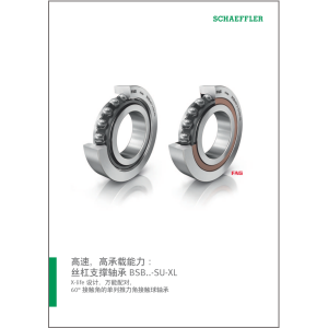 SSD 42 ZH-CN  2021-04